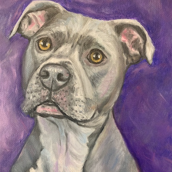 Pitt Bull Original Painting